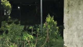 झूले पर झूलती हुई आत्मा 👁️ | Ghost Park Horror Investigation