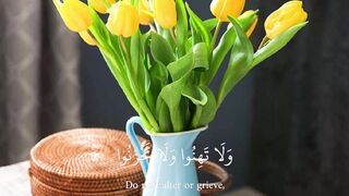 Quran 423