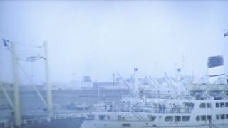 las gaviotas vuelan bajo.