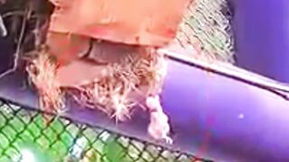 Tiny Bird's Incredible Miracle Journey