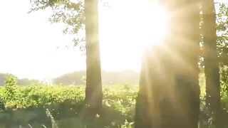 Pagi yang cerah 4