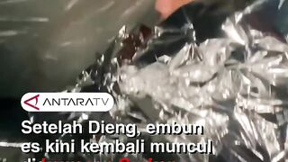 Brrr! Suhu Gunung Gede Anjlok -5°C, Alun-Alun Surken Mendadak Beku!