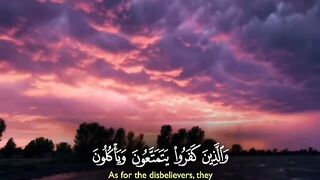 Tilawat e Quran Majeed 100
