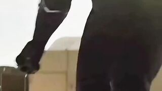 Kutukan Black Panther yang Baru Disadari Banyak Orang!