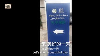 Visiting the Confucius Institute, while relearning Chinese and immersing myself in the atmosphere.