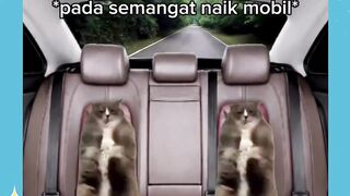belum naik aja udah mual 🤢