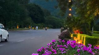 Beautiful flowers 45