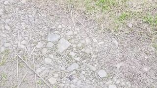 Snake 27