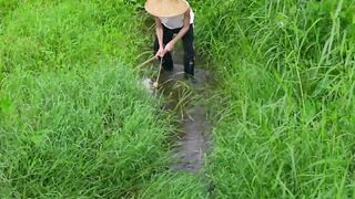 Catching Crawfish in the Countryside | Reliving Childhood Memories 🦞