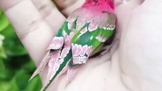 This Beautiful Bird Stole Everyone's Heart! 🐦💙