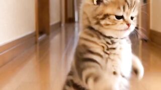 Cute Little Cat Enjoying a Tasty Meal