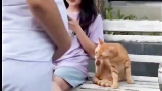 Jealous Cat's Funny Reaction