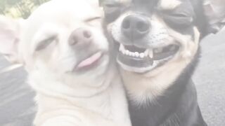 Fanny video 106