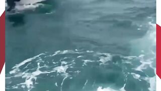 Tragedi di Phu Quoc, Perahu Wisata Terbalik Tewaskan 15 Turis India