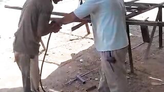 يوم التخرج