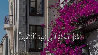 🎙️ماھرالمعیقلی🌸