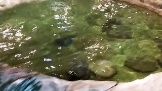 Футуризм