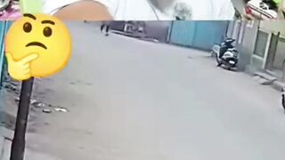 🐶🏍️ Breaking News: A Dog Stole a Motorcycle and Drove Away! 😂