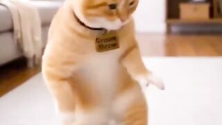 🐱 Kucing Lucu Banget! Si Meong Kesayangan Joget Ikutin Irama Musik 😻🎶