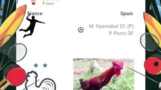 "Katanya Ayam Jago, kok habis ketemu Spanyol malah jadi ayam sirkus? 😭🤣