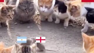 Epic Clash in the 2nd Semi Final