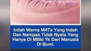 303NEWS 23