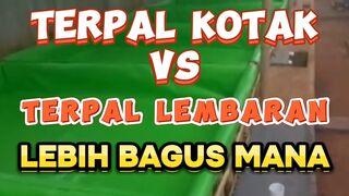 Terpal Kotak vs Terpal Lembaran Bagus mana❓