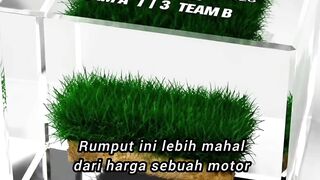 FIFA JUAL RUMPUT FINAL PIALA DUNIA dengan harga 54 Juta Rupiah