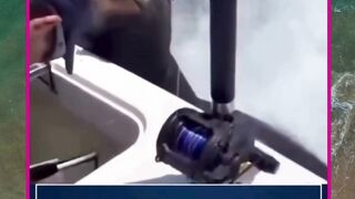 pengen yg gede
