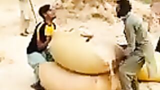 FANE VIDEO