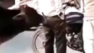 😱 গরুর হঠাৎ আক্রমণ! এরপর যা হলো বিশ্বাসই হবে না! 🐂