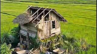 The process of building a house from a former shack