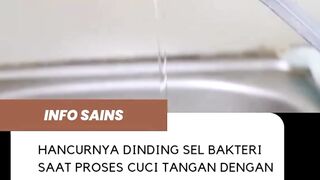 dinding sel bakteri