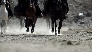 Vikings.S2E01.04