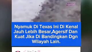 303NEWS 25