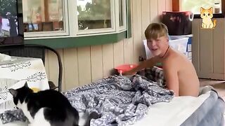 Adorable and Hilarious Cats Compilation 🐈 | TRY NOT TO LAUGH – FUNNY Cat FAILS