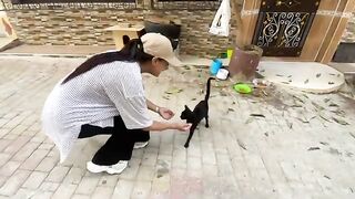 I will make happiness the hallmark of our relationship with stray cats.