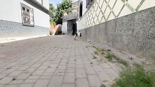 An incredibly sweet Siamese cat greets me with a wonderful dance.