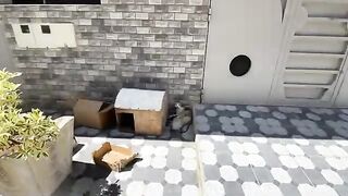 We provided love and food to the mother cat, and medical care to the kittens that needed it.