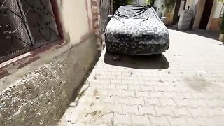 The mother cat lovingly asks for food for her adorable kittens.