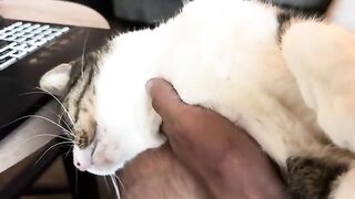 Always getting the toes
