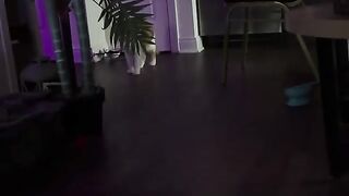 A playful a the TK