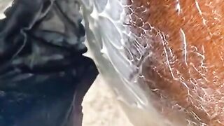 The Truth Behind a Horse’s ‘Bubble Bath’ Look