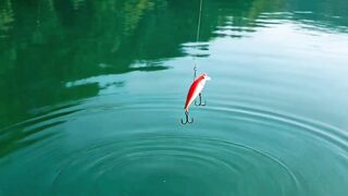 mancing ikan