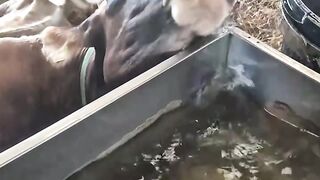 Funny reaction 10