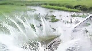 ভিডিওটা দেখে আপনারা সবাই লাইক ফলো করেন
