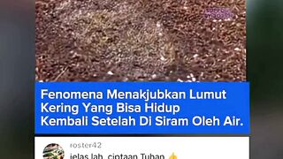 303NEWS 27