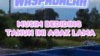 WASPADALAH❗ Musim Bediding tahun ini agak lama