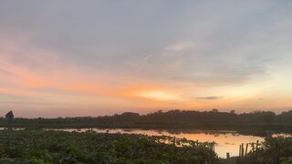 sunset 19