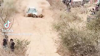 Race of happiness